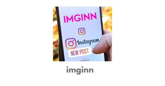 Imginn Best Platform For Download Instagram Videos 2023