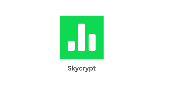 SkyCrypt – Allows You To Share Your Hypixel SkyBlock Profile To Others